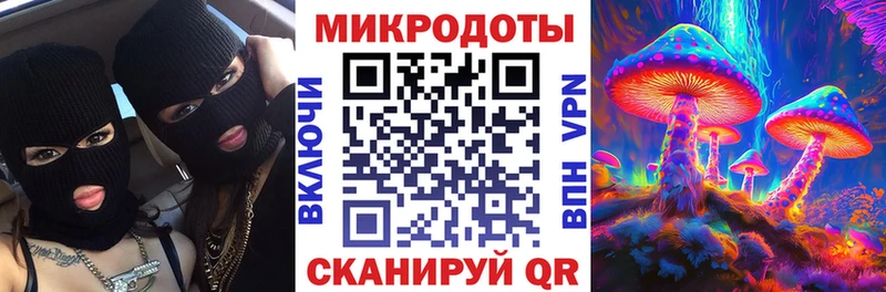нарко площадка как зайти  Новая Ладога  Галлюциногенные грибы MAGIC MUSHROOMS  цена наркотик 